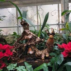 Meet your Posher, Fran